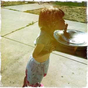 Hip 336178085.587230