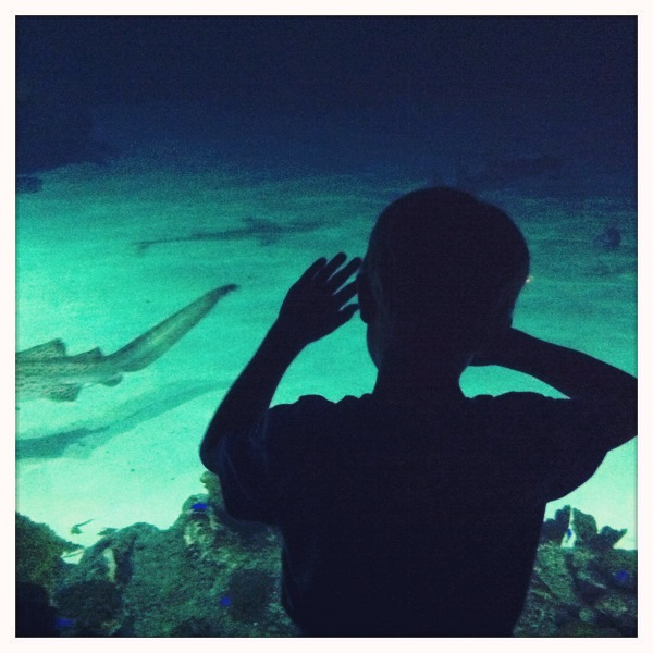 Hip 331599744.302935