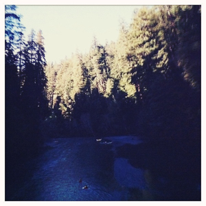 Hip 333841680.988780