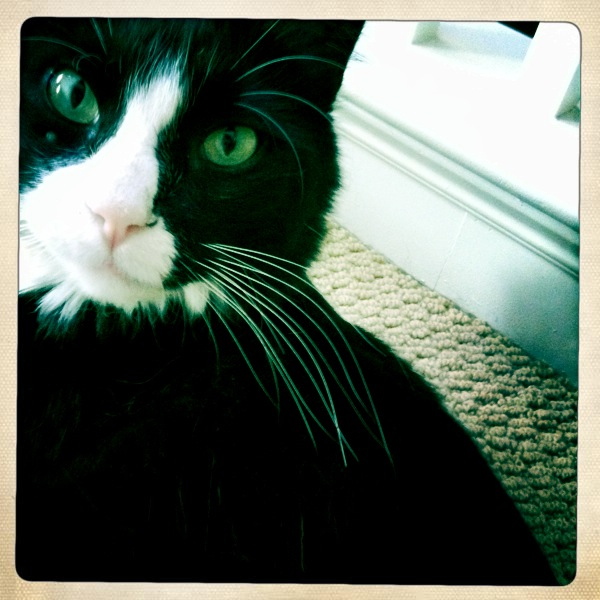 Hip 335821908.827647