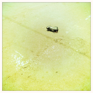 Hip 336423436.121697