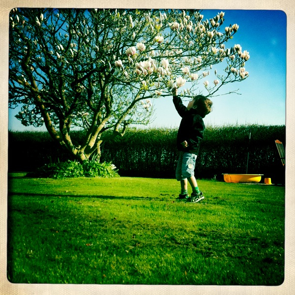 Hip 325436978.194615