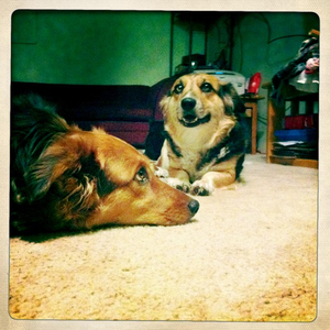 Hip 336461914.571160