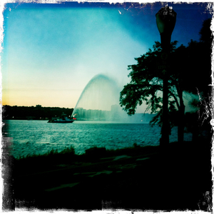 Hip 335836254.897818