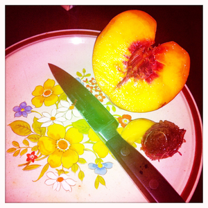 Hip 336465941.135369