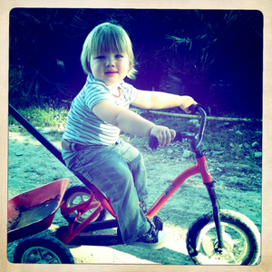 Hip 303669188.067161