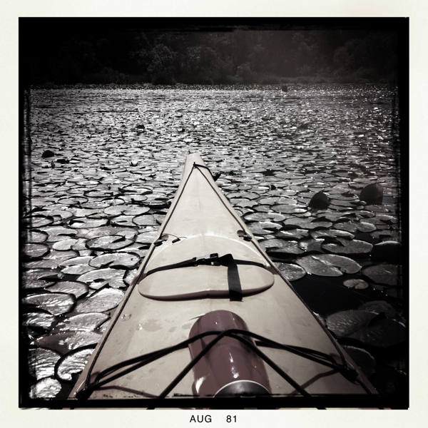 Hip 336252967.458320