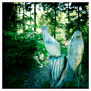 Hip 336333342.571143