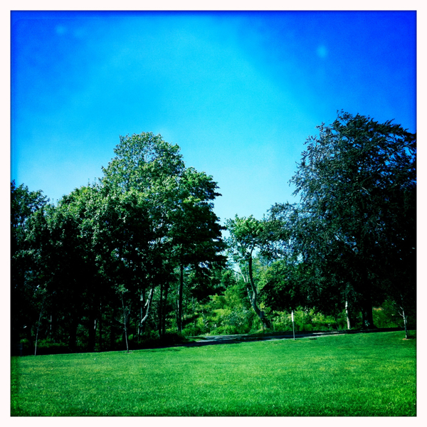 Hip 336332732.104362