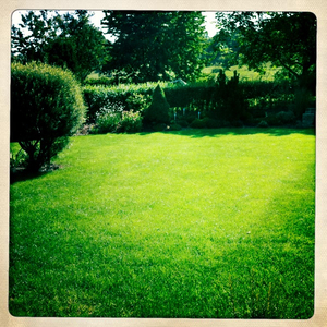 Hip 336478816.358252