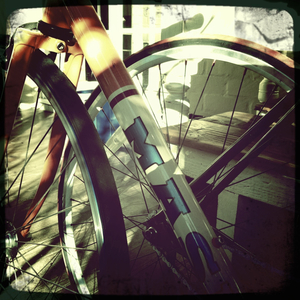 Hip 333608849.513335