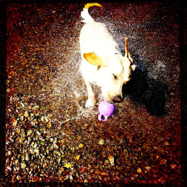 Hip 336149978.288121