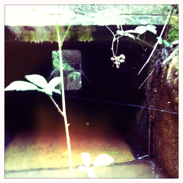 Hip 335205750.325384