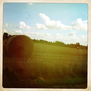 Hip 335714480.088294