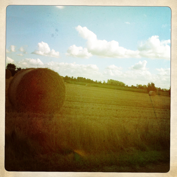 Hip 335714480.088294