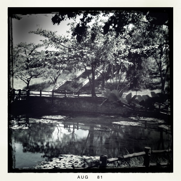 Hip 336447941.350308