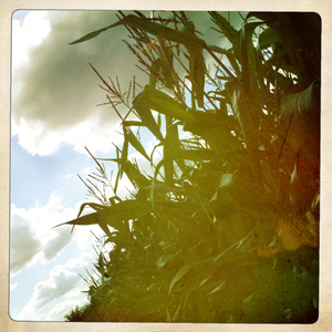 Hip 335714415.332247