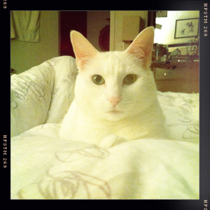 Hip 336448807.129765