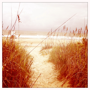 Hip 336060451.646918