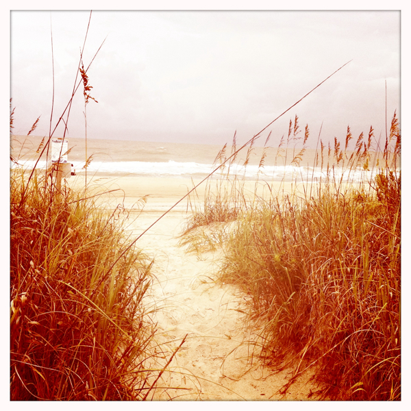 Hip 336060451.646918