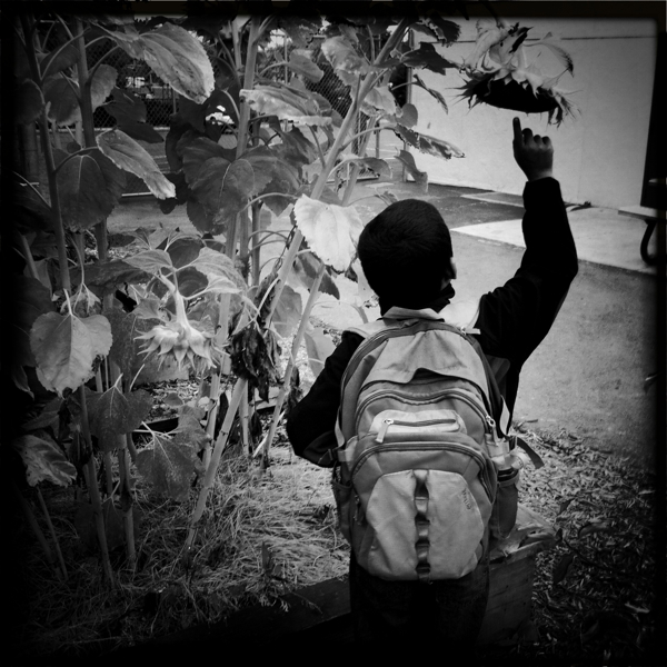 Hip 336492923.487943