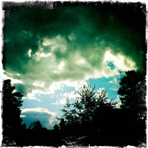 Hip 336499206.638650