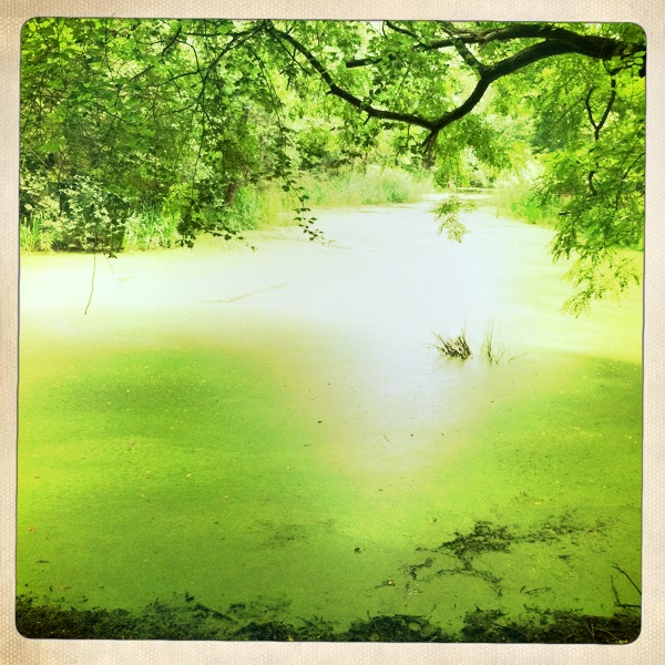 Hip 336487404.883420