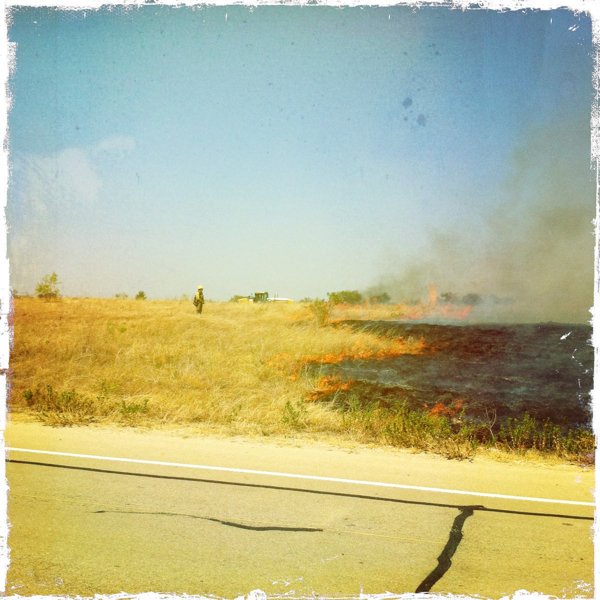 Hip 336502160.661516