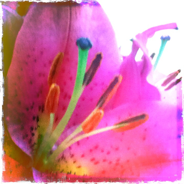 Hip 336502536.432601