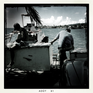 Hip 336349035.780563