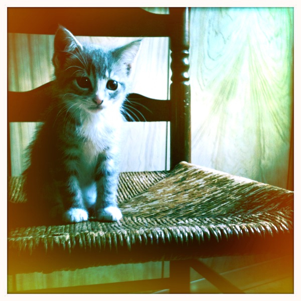 Hip 329504389.662257