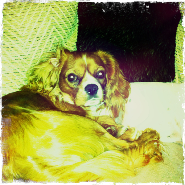 Hip 336504944.971649