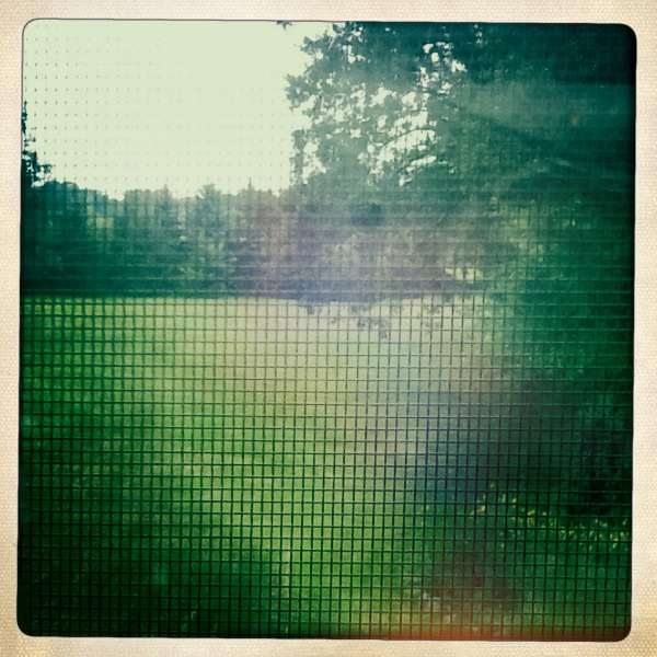 Hip 336505830.832161