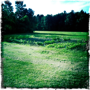 Hip 332376820.653934