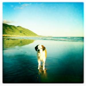 Hip 320029662.667393