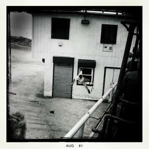 Hip 336238673.802079