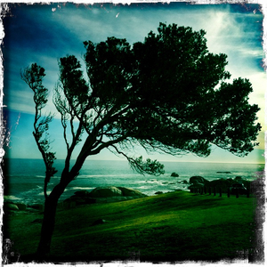 Hip 336232799.675251