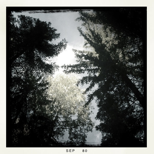 Hip 306579447.648021