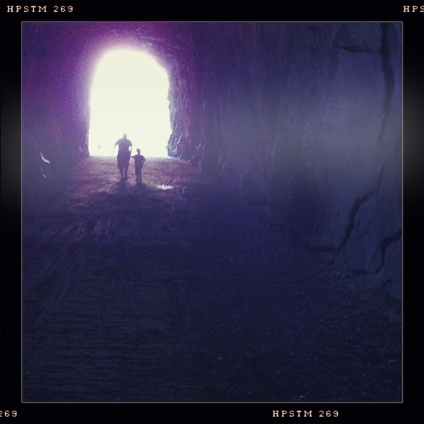 Hip 336344311.146147