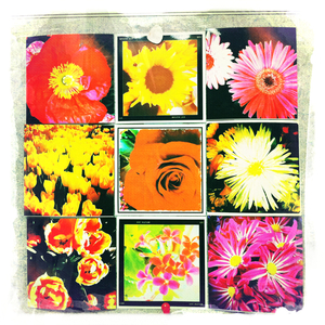 Hip 336510140.645022