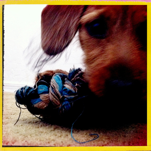 Hip 336510188.095402