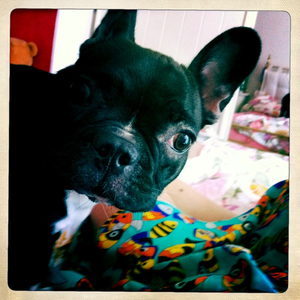 Hip 335970918.383386