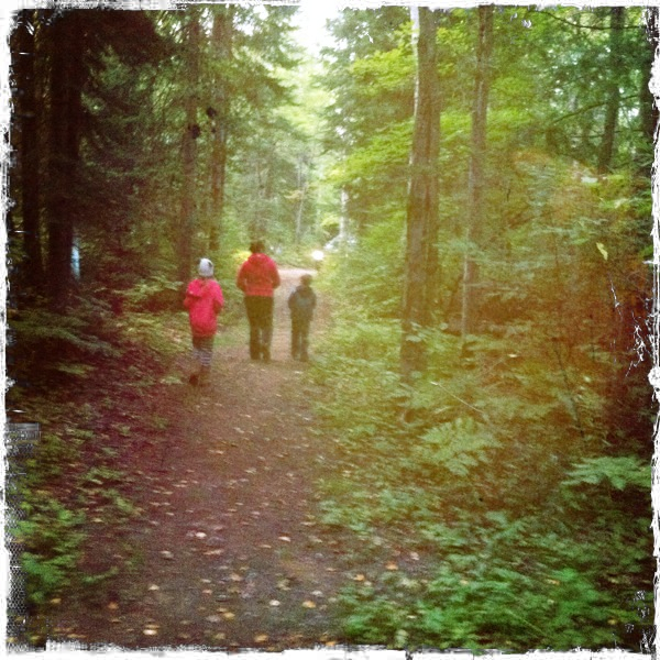 Hip 336268916.180691