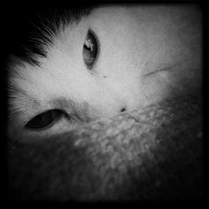 Hip 321292811.279053