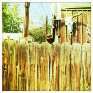 Hip 336411771.803189