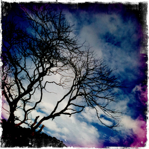 Hip 336477163.743055