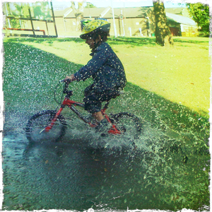 Hip 335549529.206536