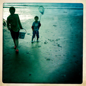 Hip 334002597.816265