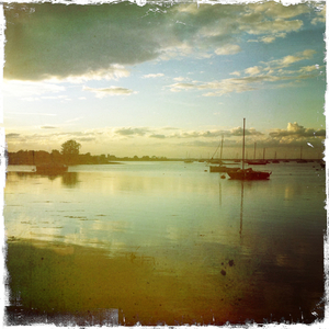 Hip 334435673.922897