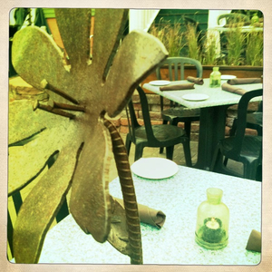 Hip 336520523.494560